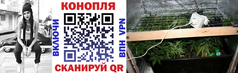 Конопля SATIVA & INDICA  закладка  Светлоград 